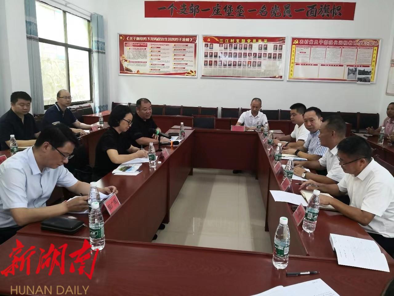 晏丽君带队到万塘乡三江村调研乡村振兴工作_邵阳头条网